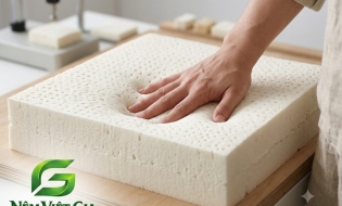 Kinh Nghiệm Chọn Nệm Cao Su Thiên Nhiên: Phân Biệt Mủ Nguyên Chất Chuẩn