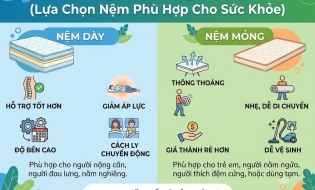 Hướng Dẫn Chọn Độ Dày Nệm Phù Hợp Giường Ngủ & Không Gian Sống