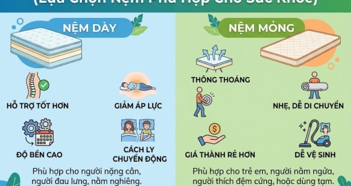 Hướng Dẫn Chọn Độ Dày Nệm Phù Hợp Giường Ngủ & Không Gian Sống